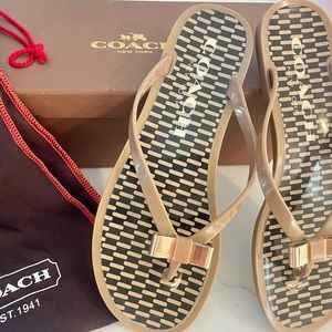 COACH Flip Flops— Landon Jelly/Enlarge Reps SZ 7